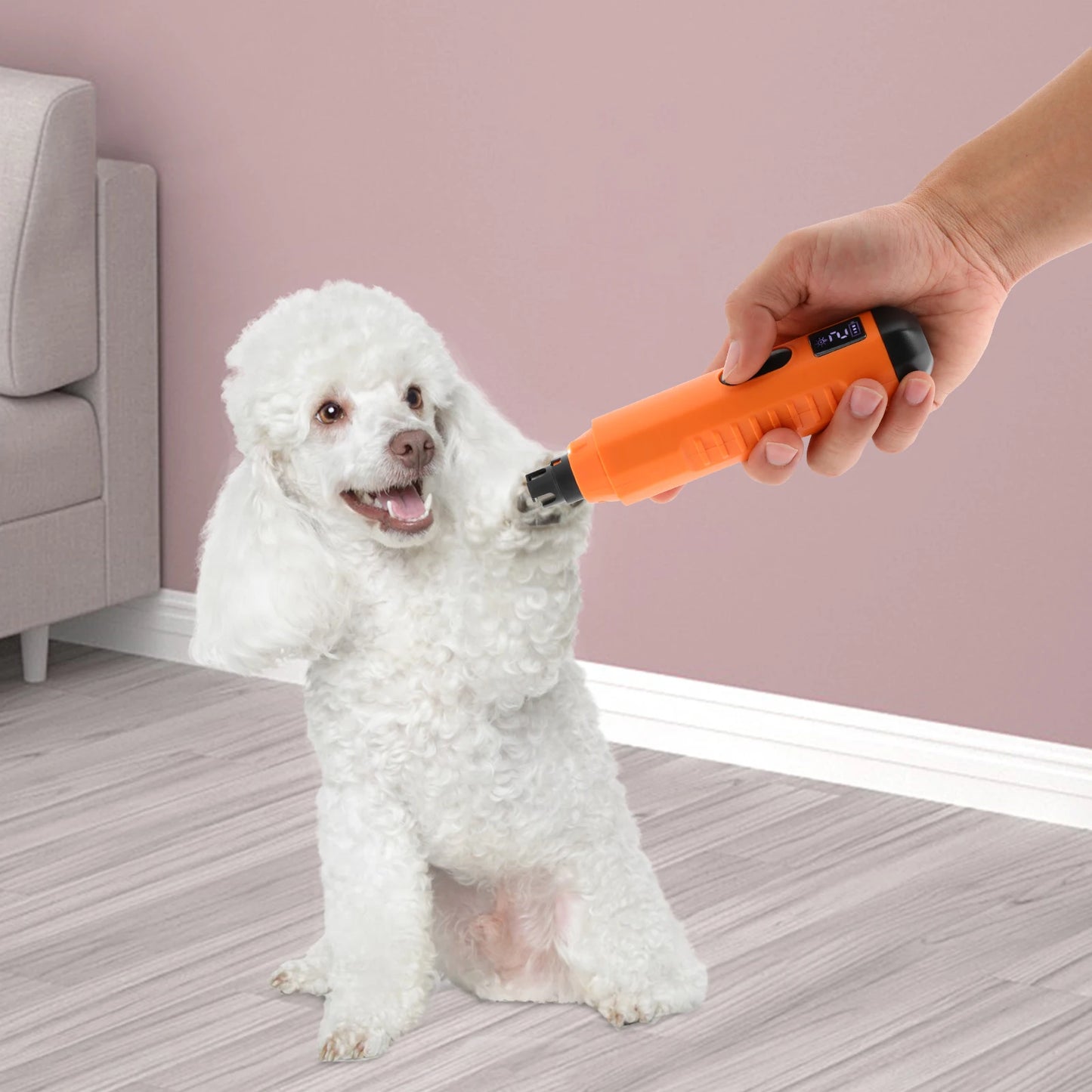 Professional Pet Nail Grinder with Adjustable Speeds and Low Noise