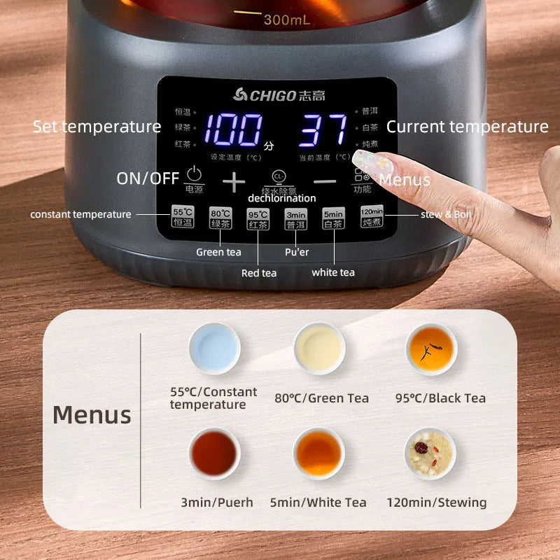 Temperature Controlled Electric Kettle for Milk and Tea
