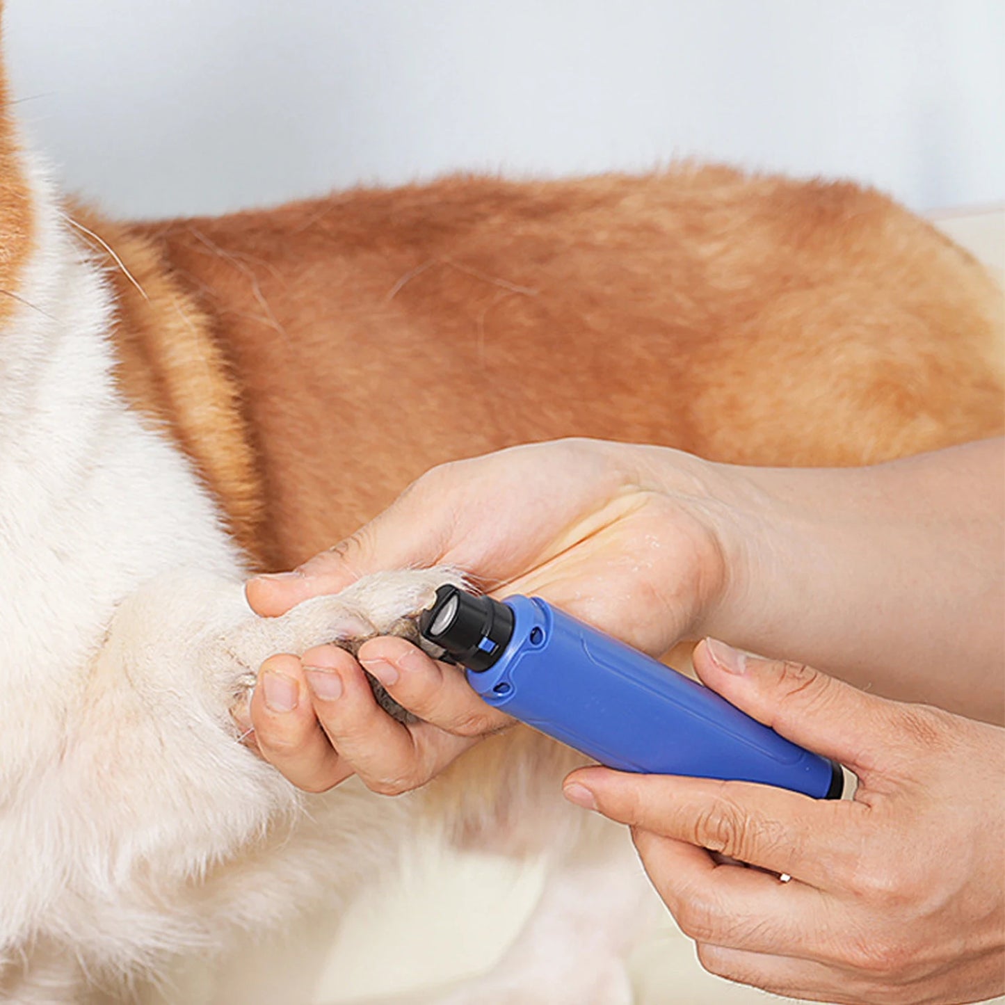 Electric Dog Nail Grinder and Clipper Set with Safety Guard